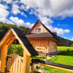Domek Trzy Doliny Zakopane, Three Valleys Chalet with Jacuzzi Zakopane